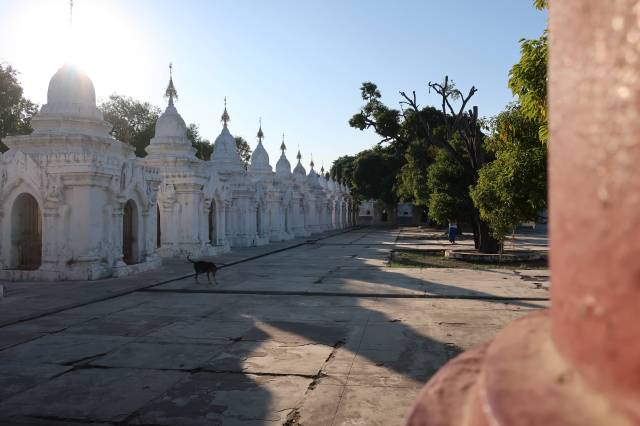 20181127102538_IMG_0353