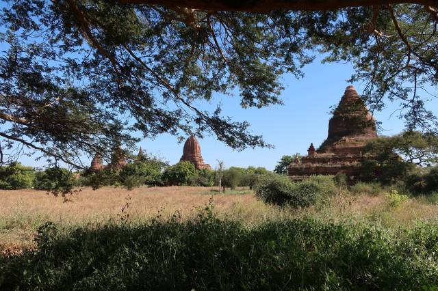 20181129050927_IMG_0480