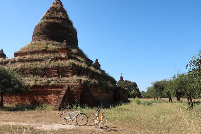 20181129052026_IMG_0497