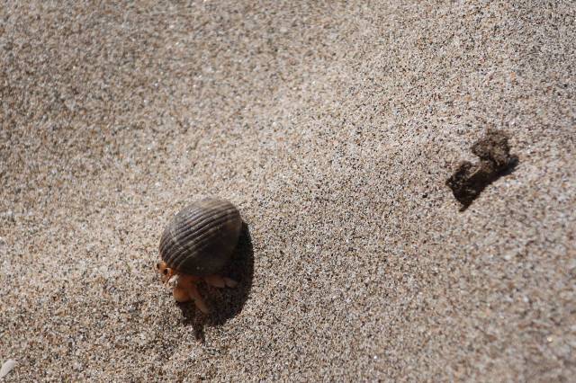 20181205062050_IMG_0669