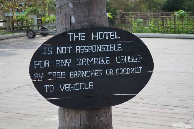 20181206042939_IMG_0707