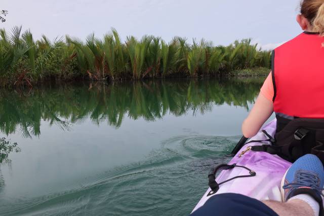 20181207040958_IMG_0761